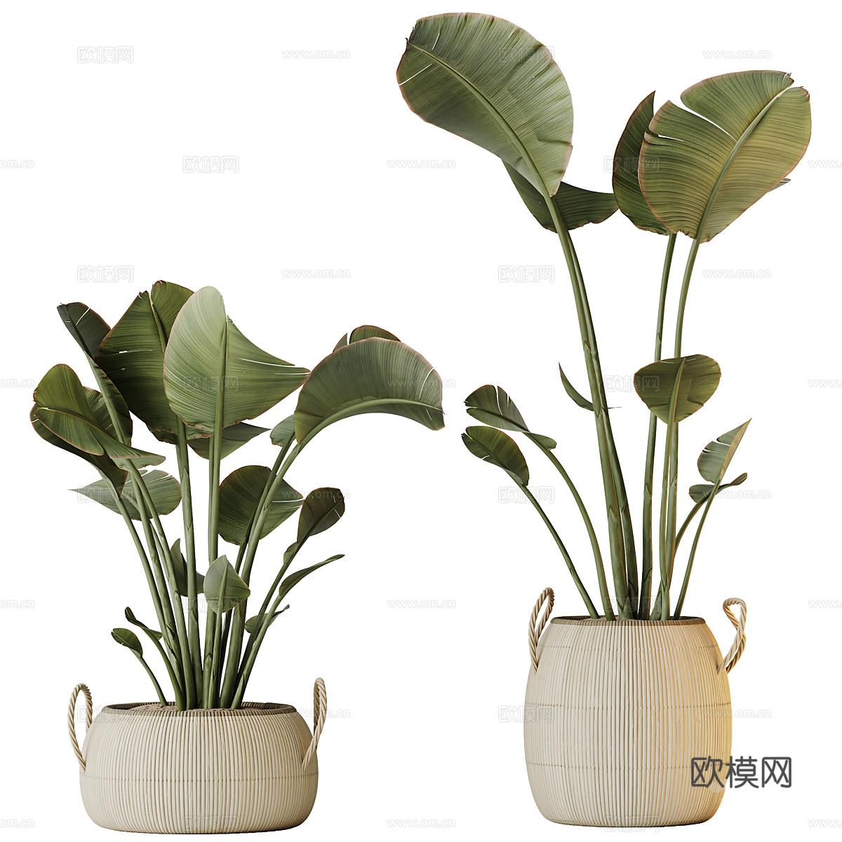 新中式侘寂绿植盆栽3d模型