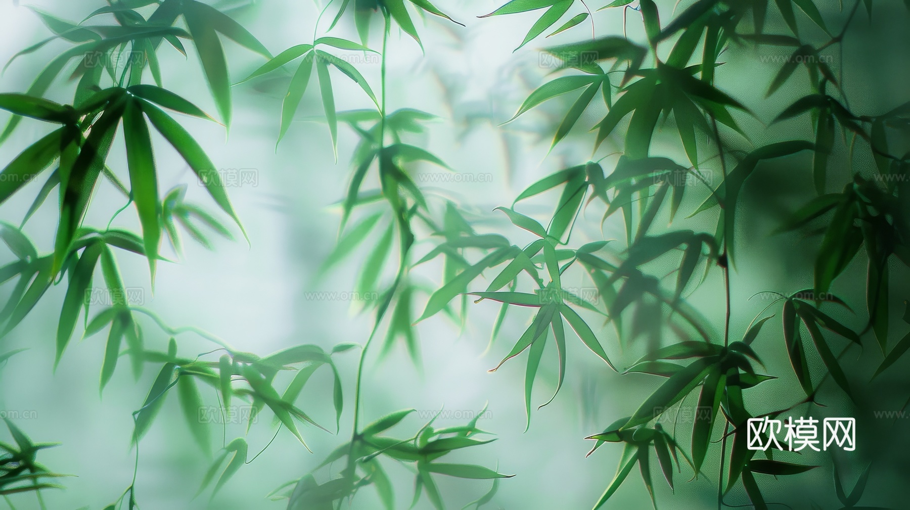 中式竹子竹林壁纸壁画