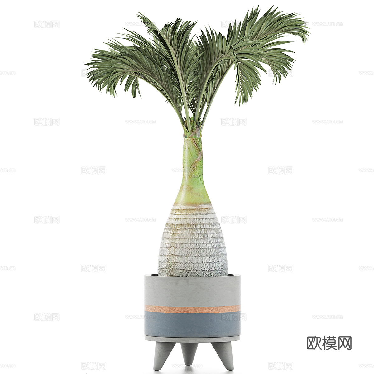 现代侘寂绿植盆栽3d模型