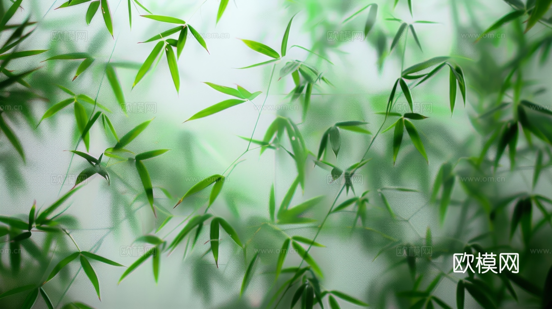 中式竹子竹林壁纸壁画