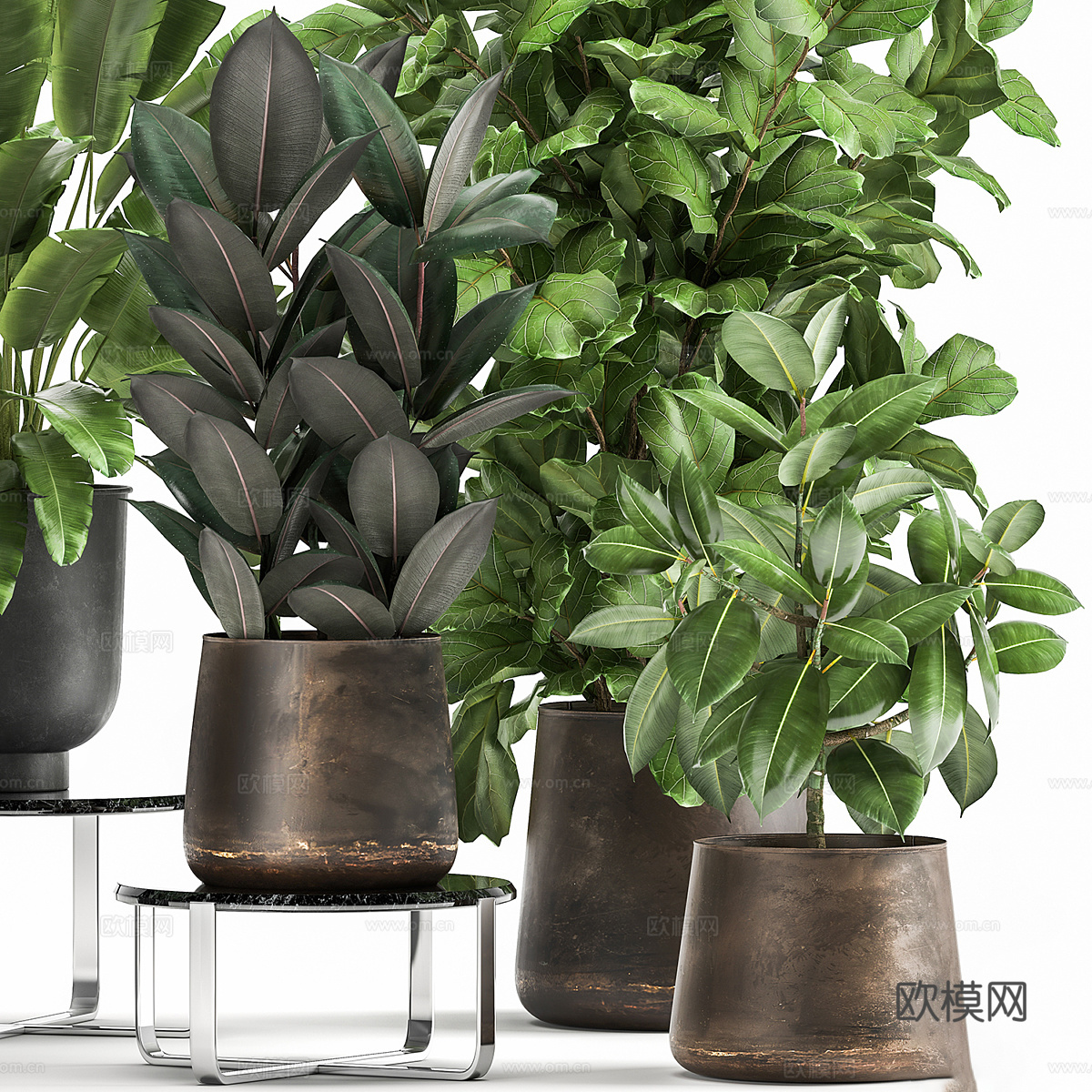 现代轻奢绿植盆栽3d模型