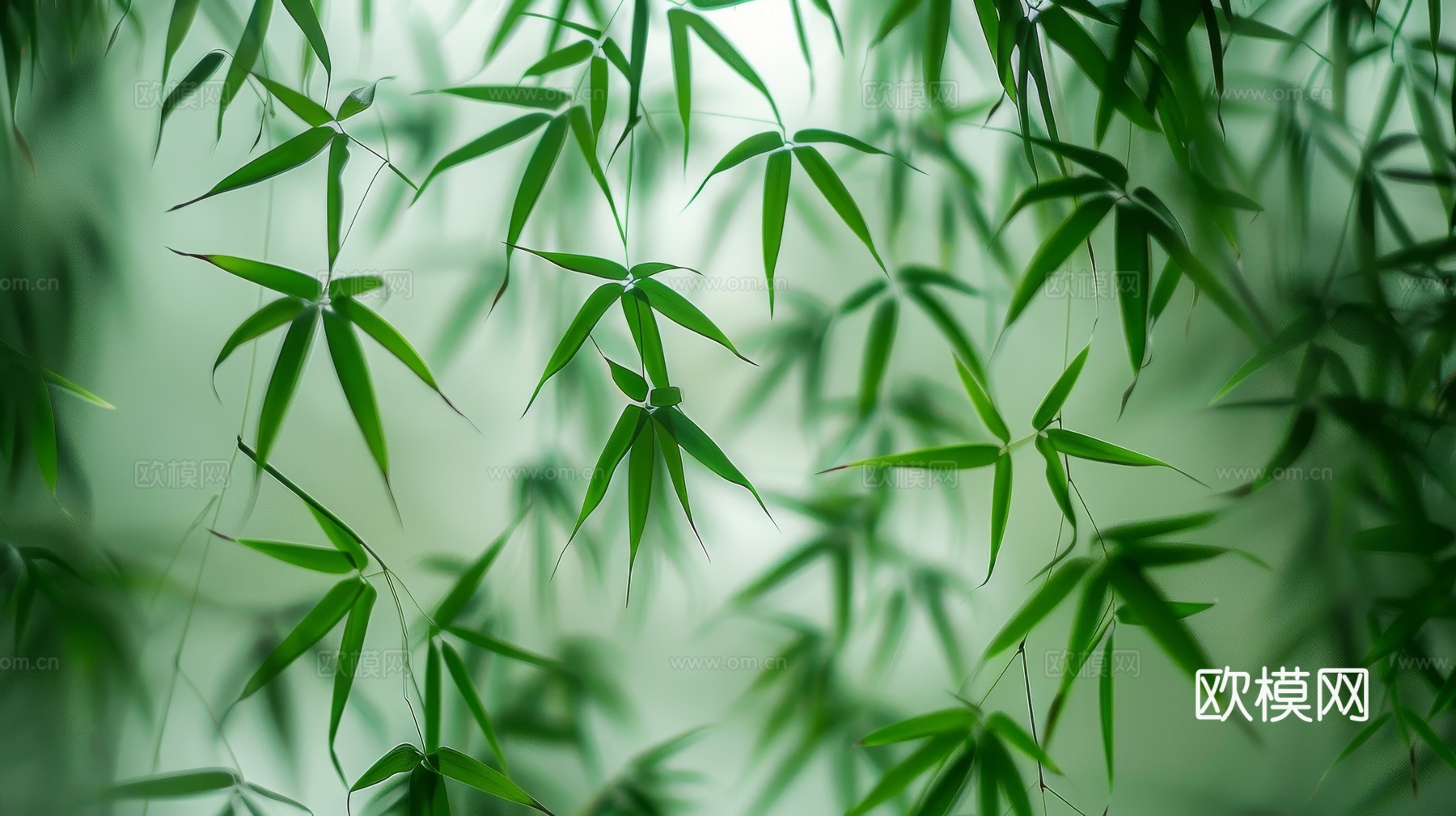 中式竹子竹林壁纸壁画