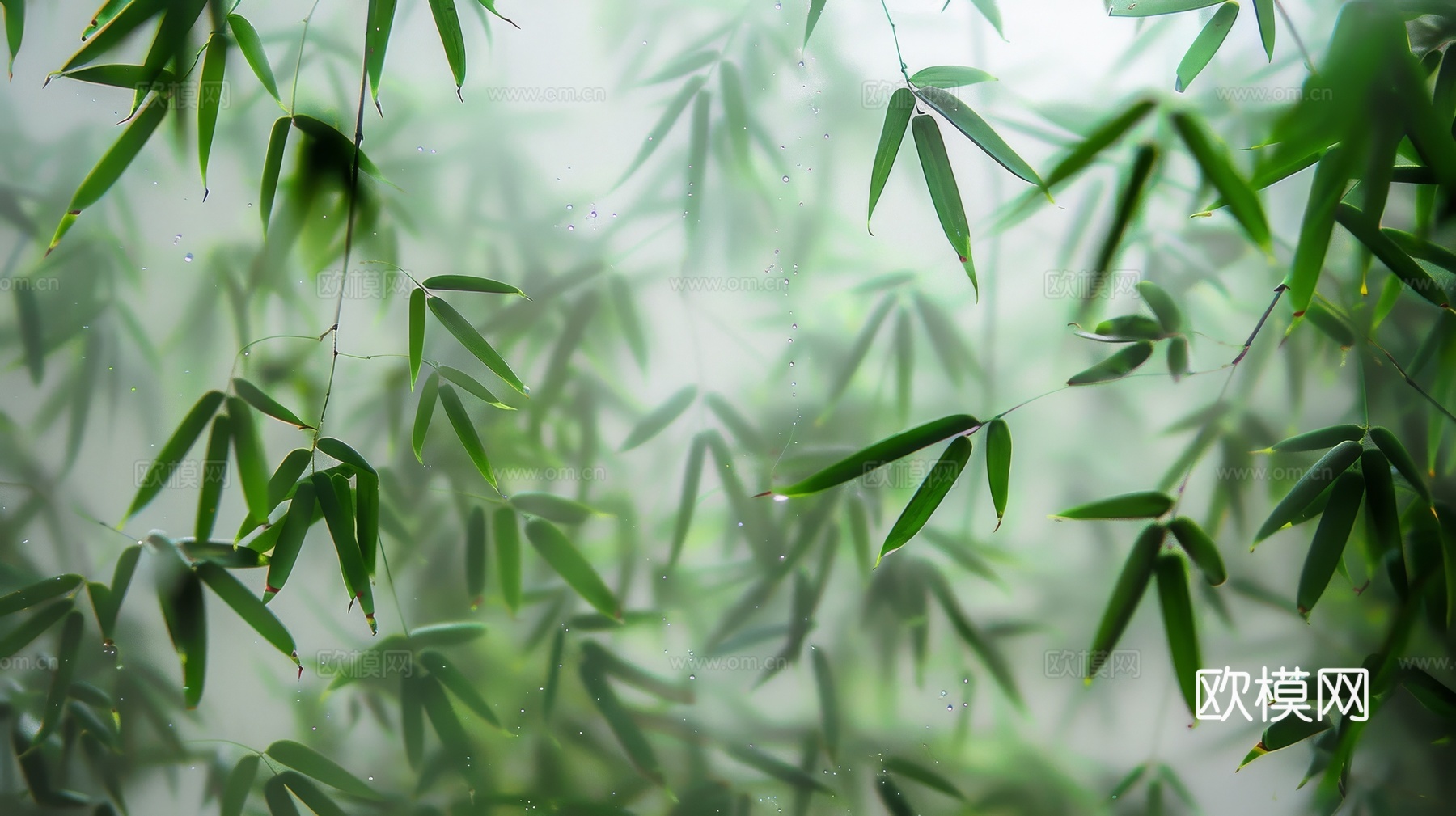 中式竹子竹林壁纸壁画