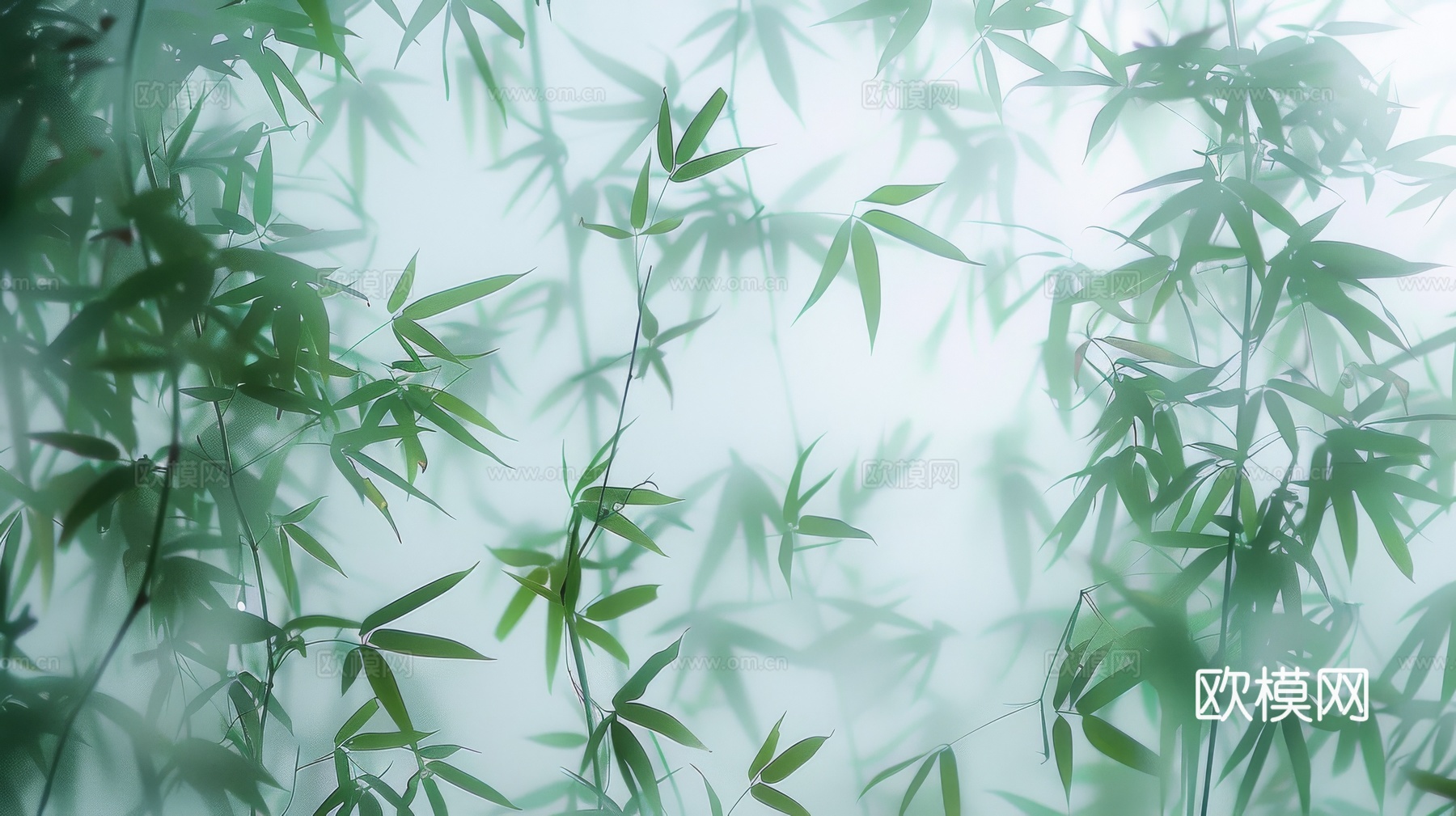 中式竹子竹林壁纸壁画