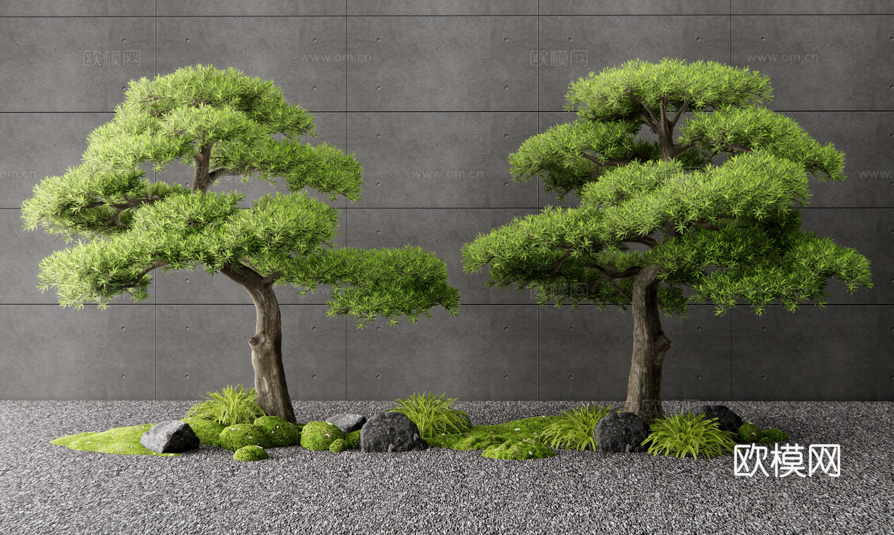 新中式罗汉松 松树 黑松 植物造景 庭院小品 花草 苔藓3d模型