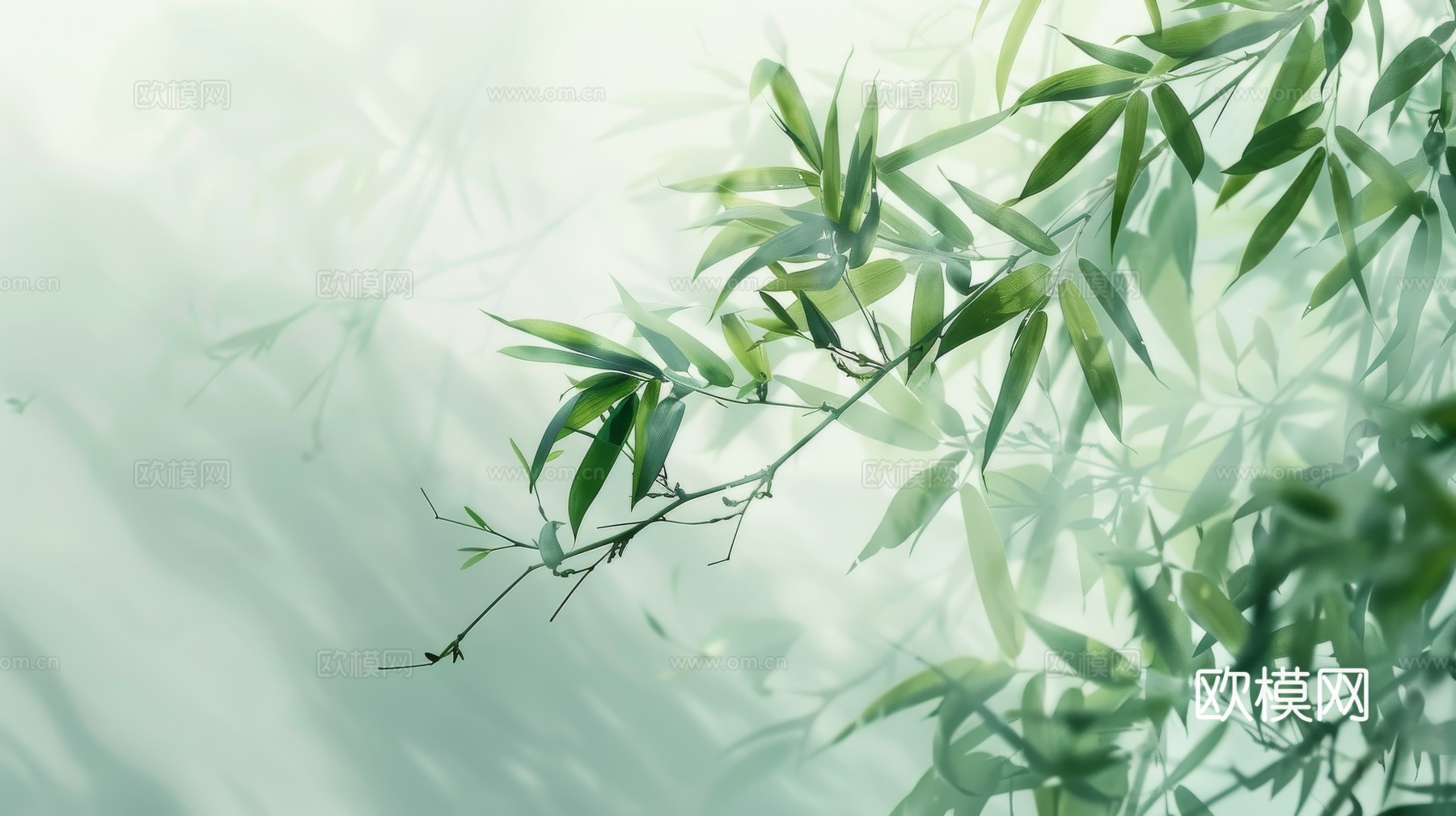 中式竹子竹林壁纸壁画