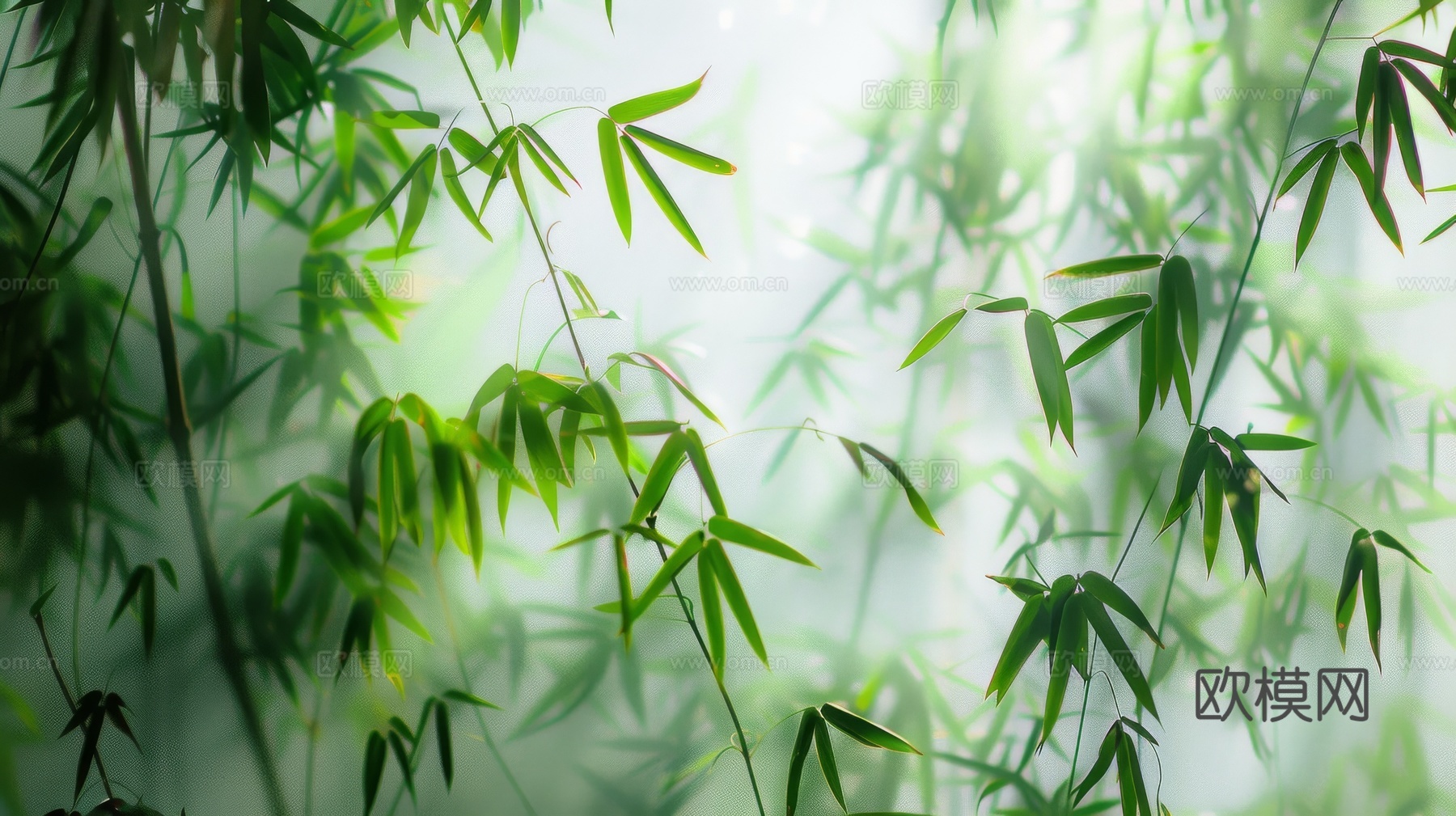 中式竹子竹林壁纸壁画