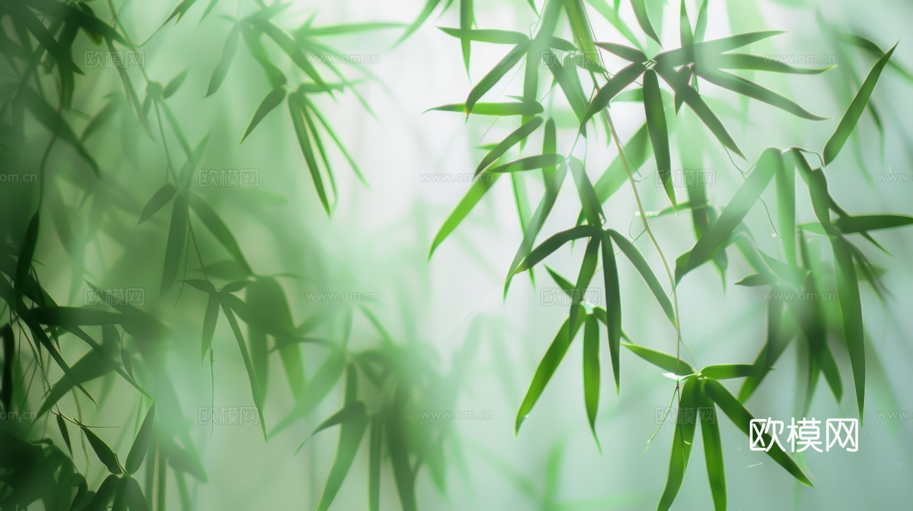 中式竹子竹林壁纸壁画