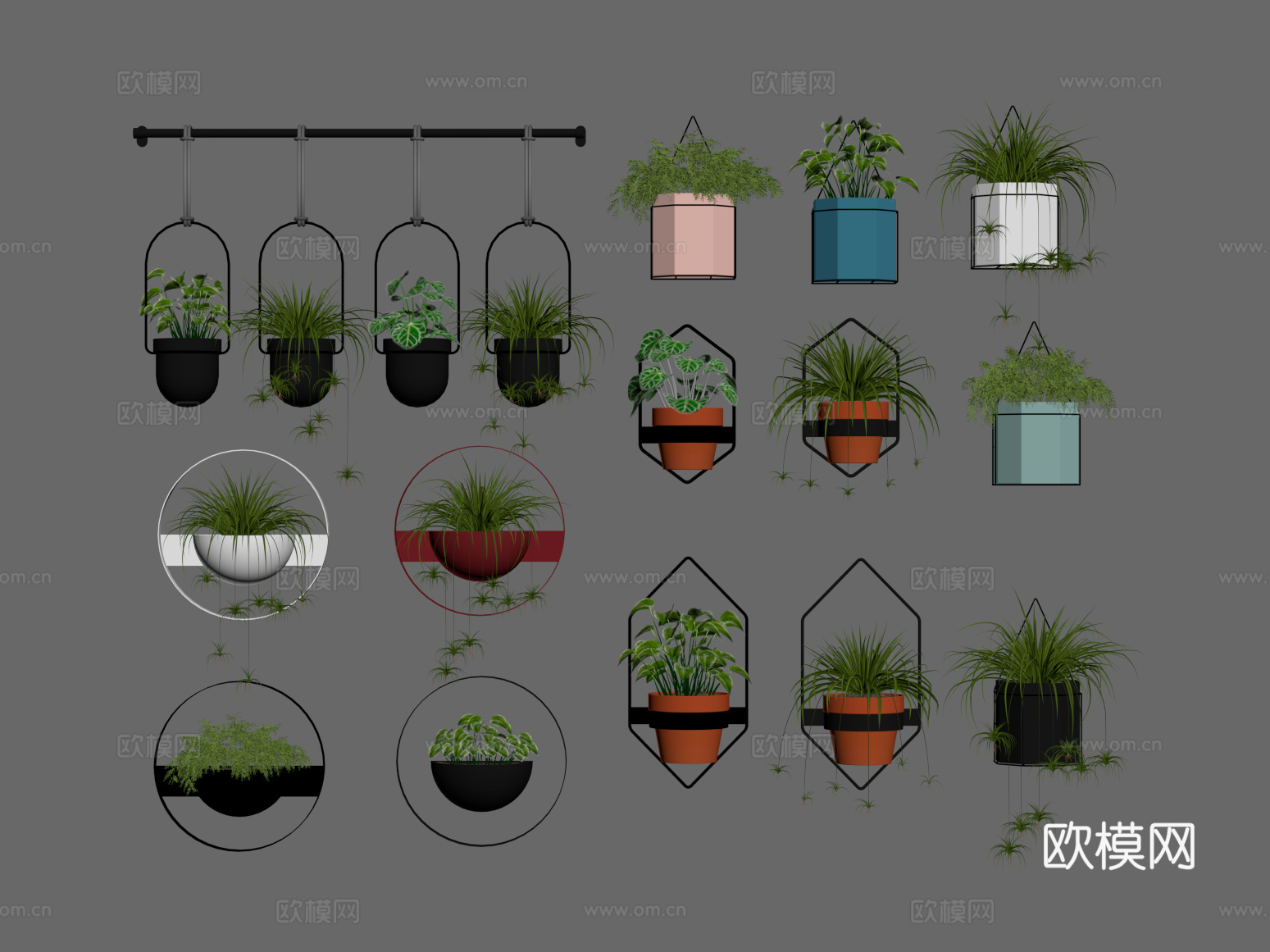 吊篮 吊兰 悬挂植物su模型