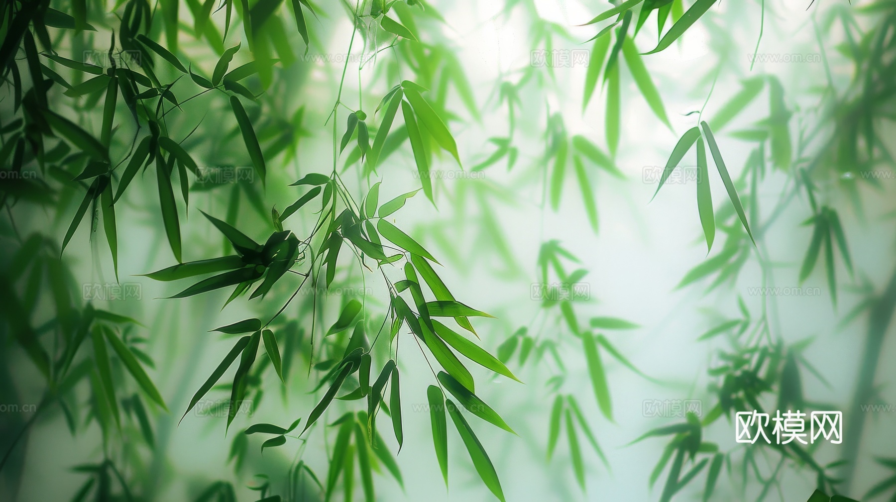中式竹子竹林壁纸壁画