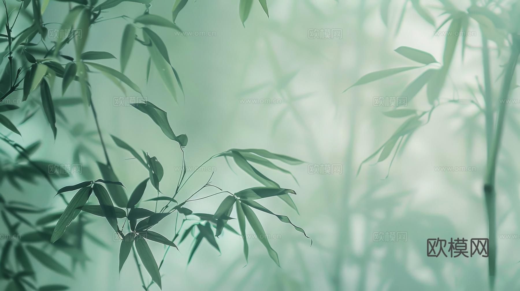 中式竹子竹林壁纸壁画