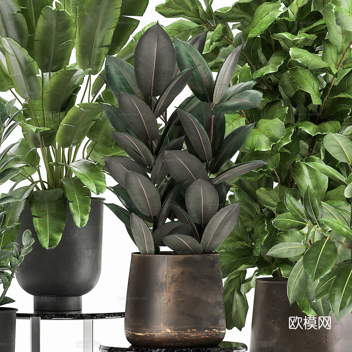 现代轻奢绿植盆栽3d模型