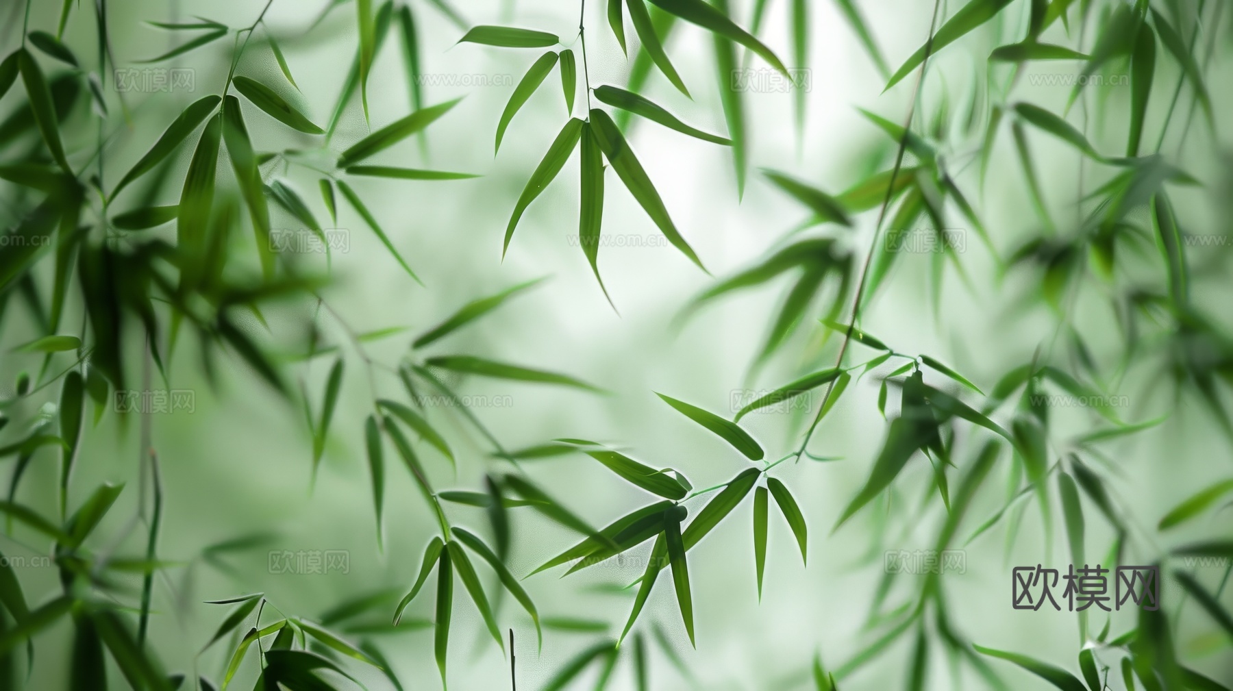 中式竹子竹林壁纸壁画