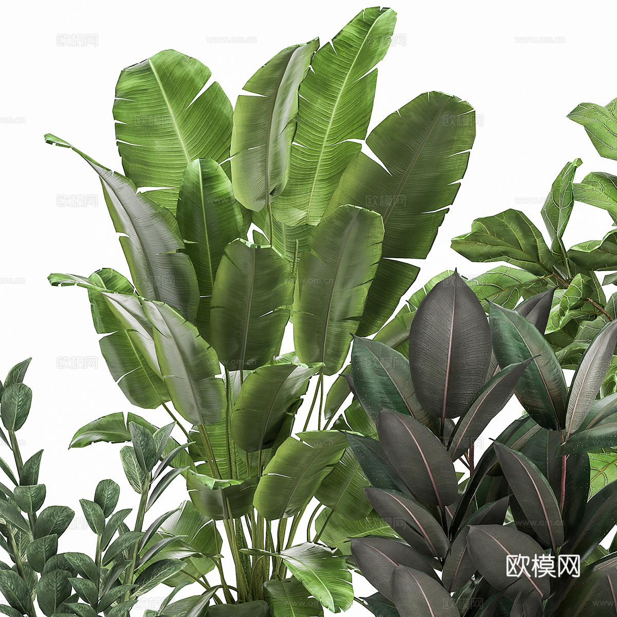 现代轻奢绿植盆栽3d模型