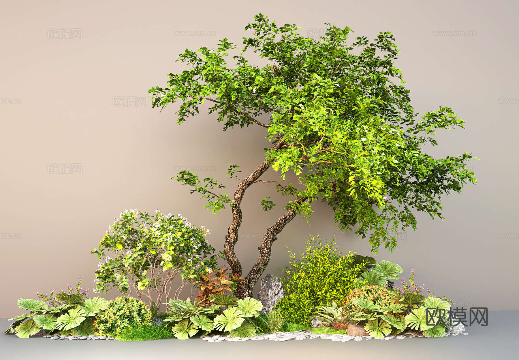 现代庭院植物组合 灌木绿植su模型