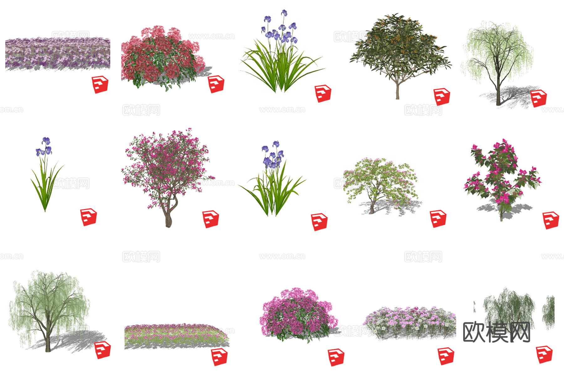 灌木丛 低矮灌木 花丛su模型