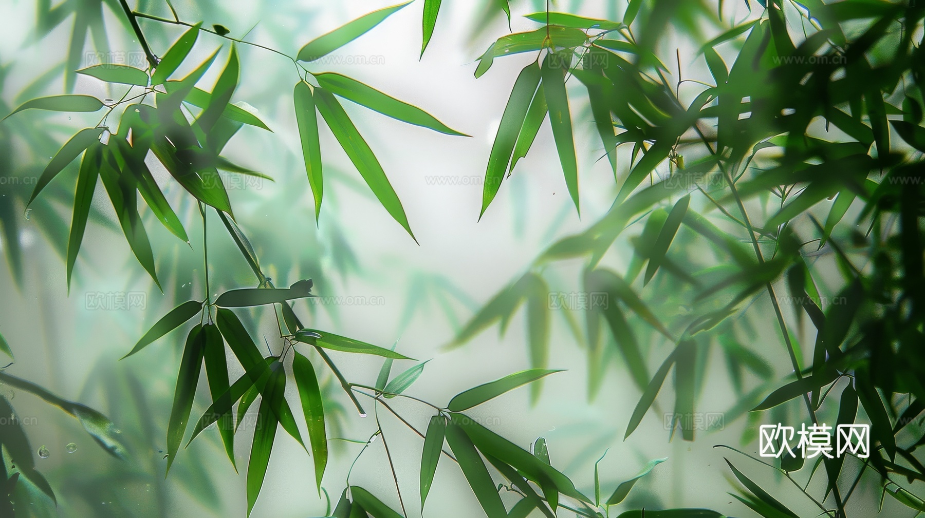 中式竹子竹林壁纸壁画