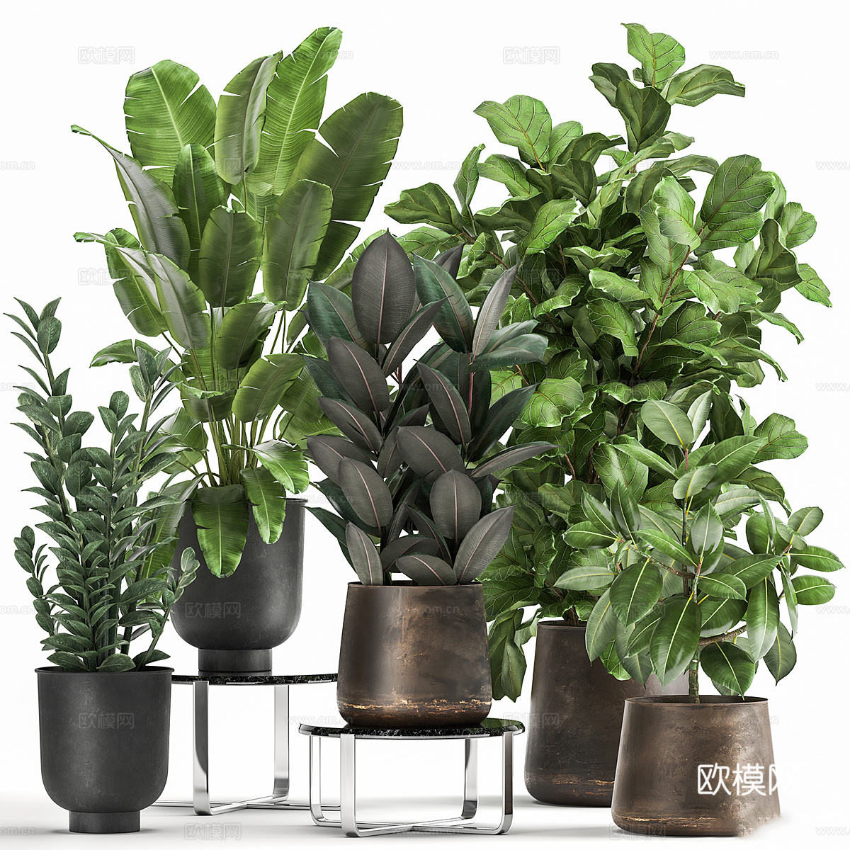 现代轻奢绿植盆栽3d模型