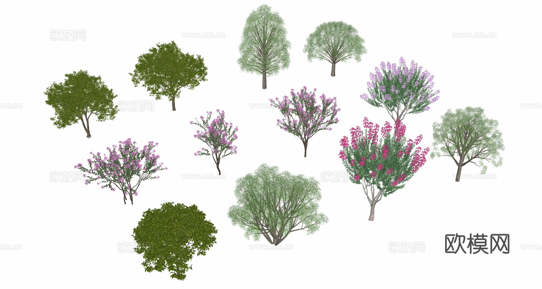 乔木 树木 绿植su模型