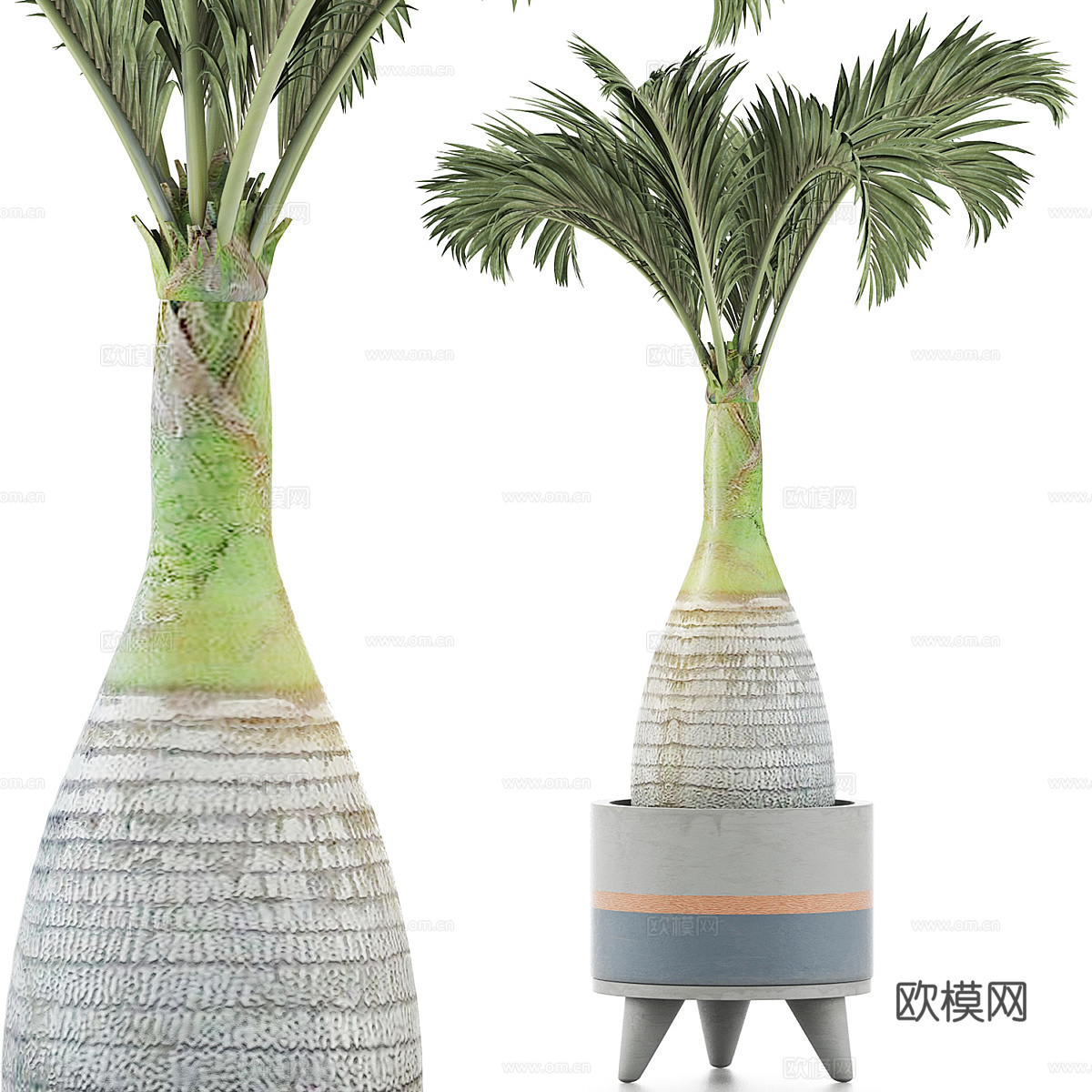 现代侘寂绿植盆栽3d模型