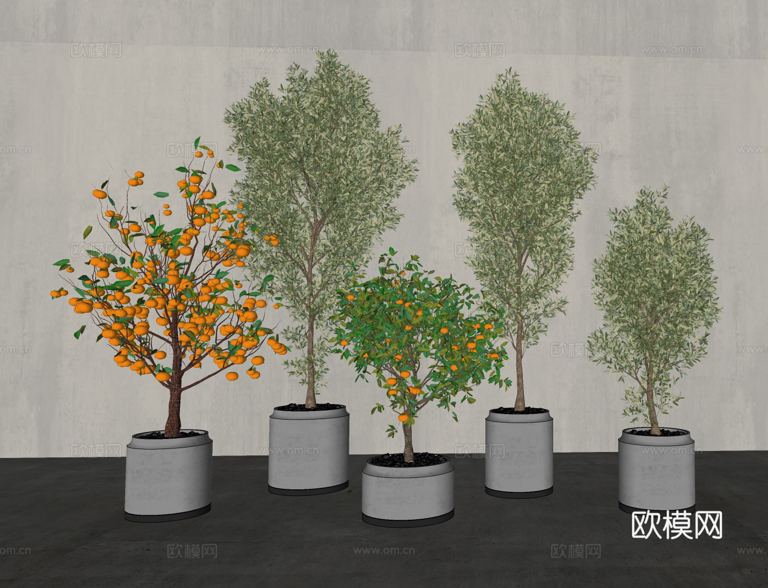 现代绿植盆栽盆景 橘子柠檬树  室内盆景摆件组合su模型