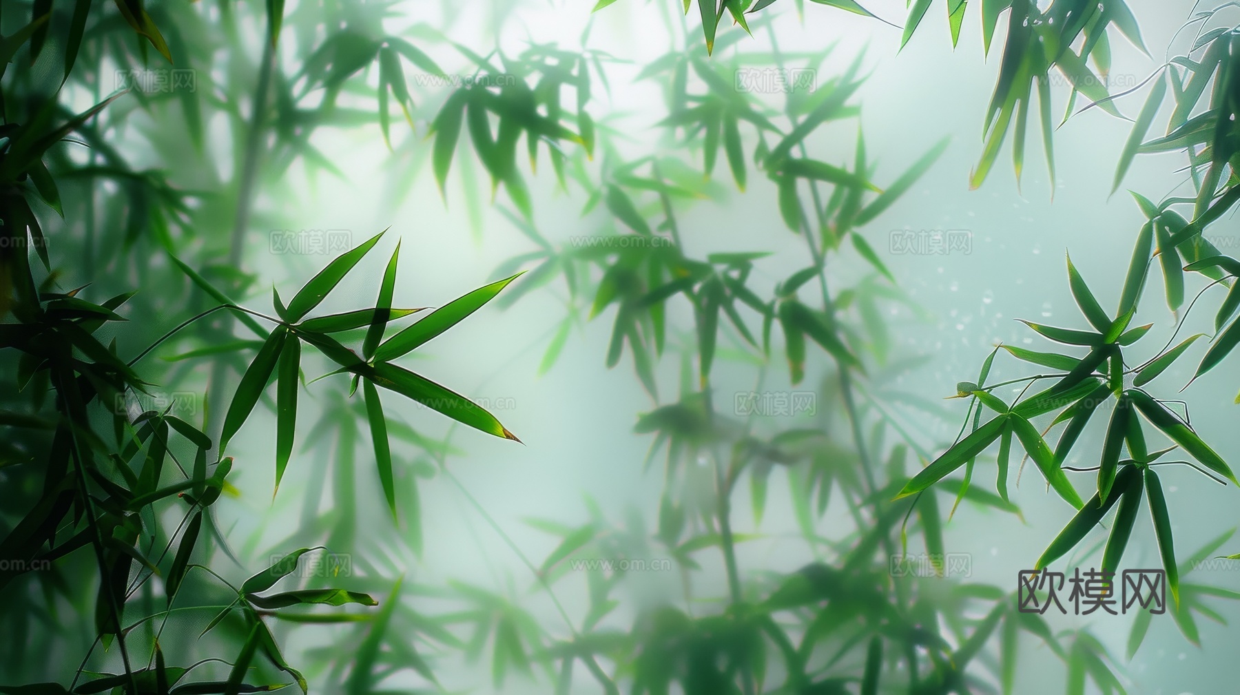 中式竹子竹林壁纸壁画