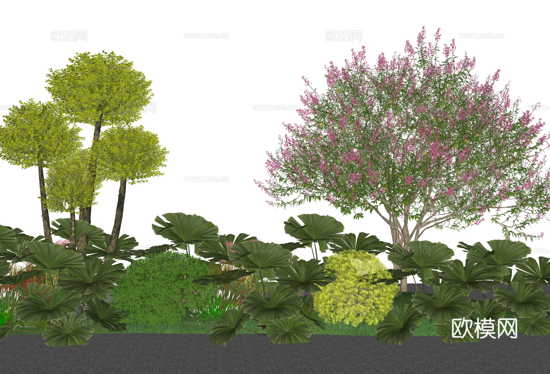 现代植物组团 花境绿植组合 景观树 乔木灌木球su模型