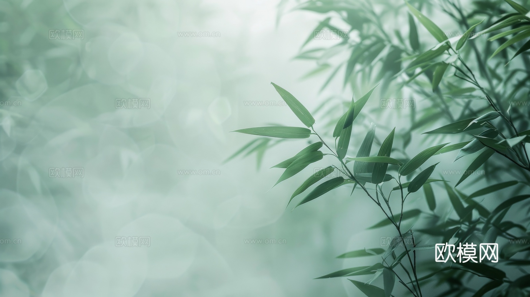 中式竹子竹林壁纸壁画