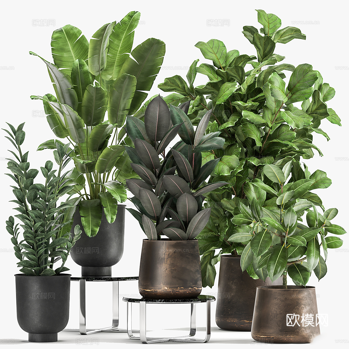 现代轻奢绿植盆栽3d模型