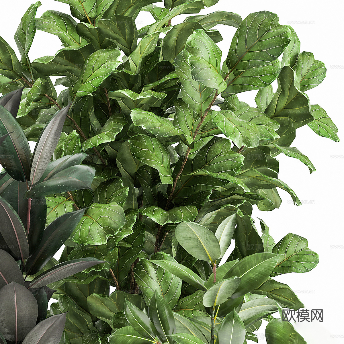 现代轻奢绿植盆栽3d模型