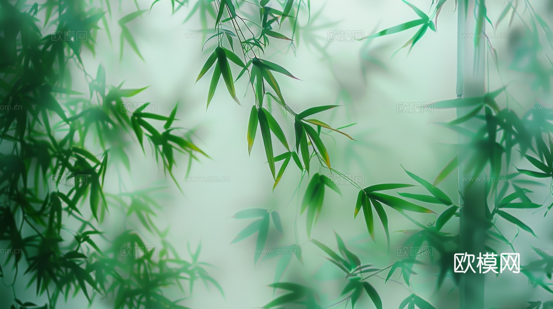 中式竹子竹林壁纸壁画