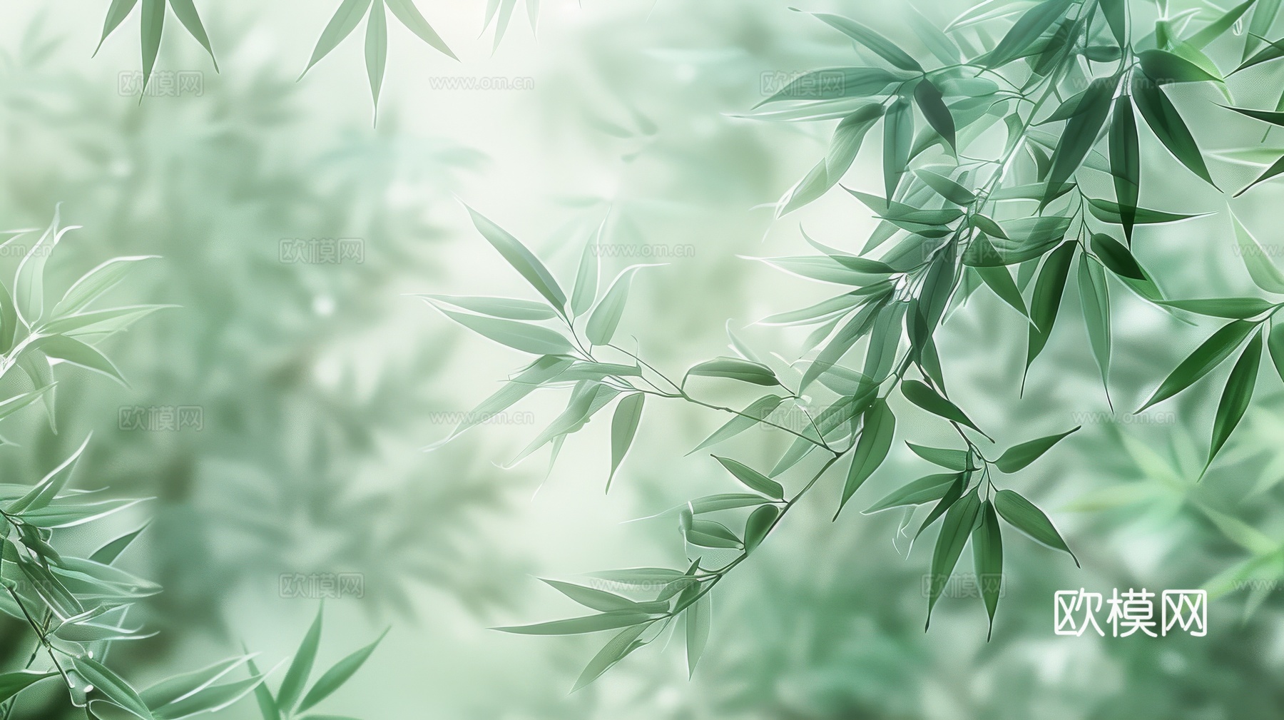 中式竹子竹林壁纸壁画