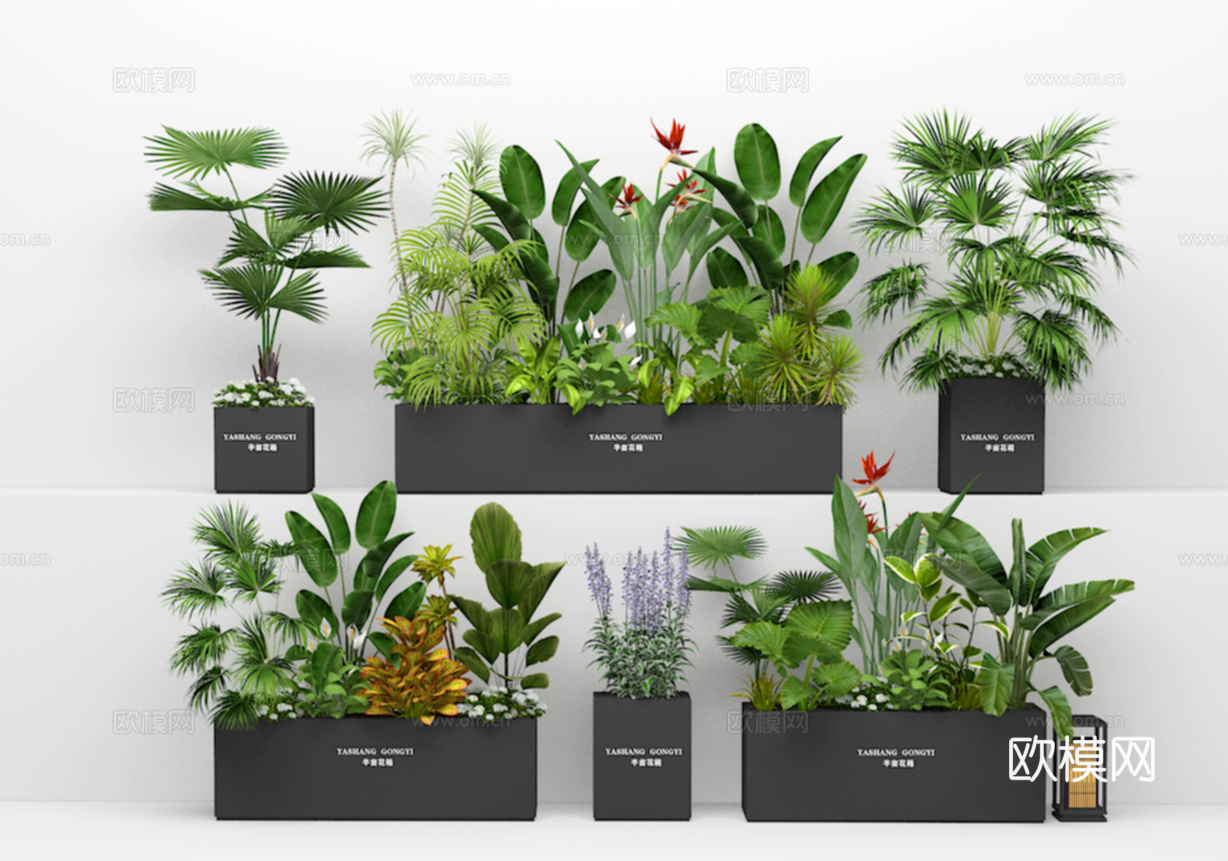花草3d模型