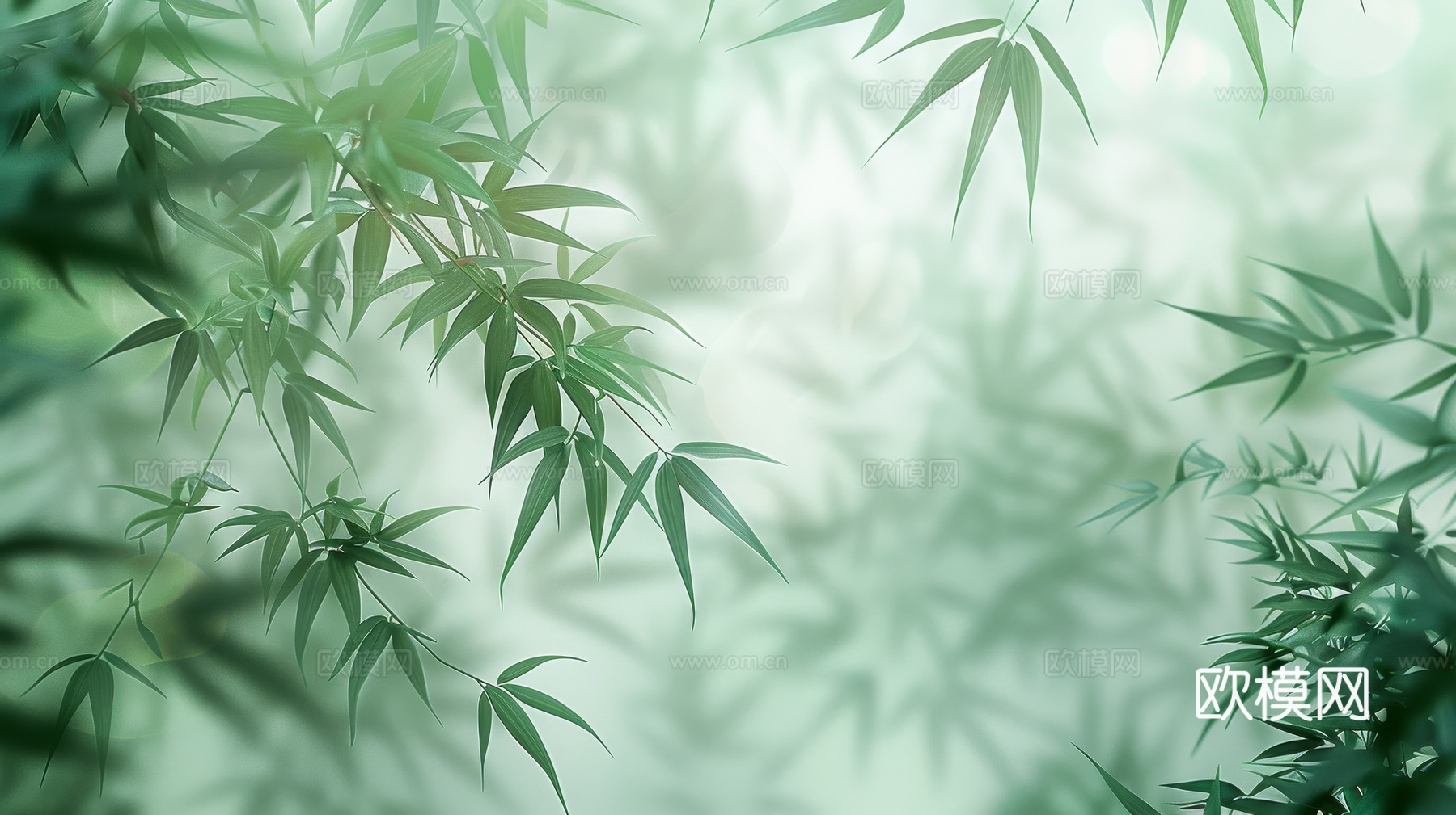 中式竹子竹林壁纸壁画