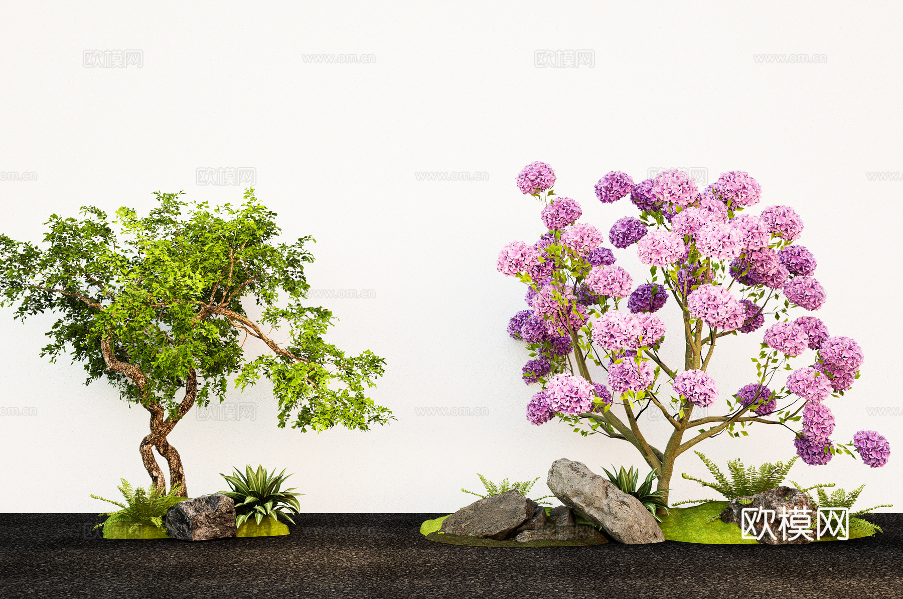 乔木造型树 景观树 紫花风铃木  庭院小品 景观石头su模型