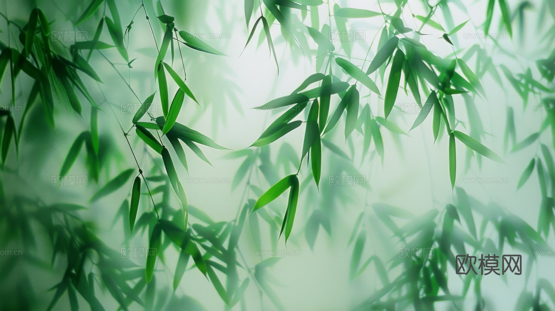 中式竹子竹林壁纸壁画
