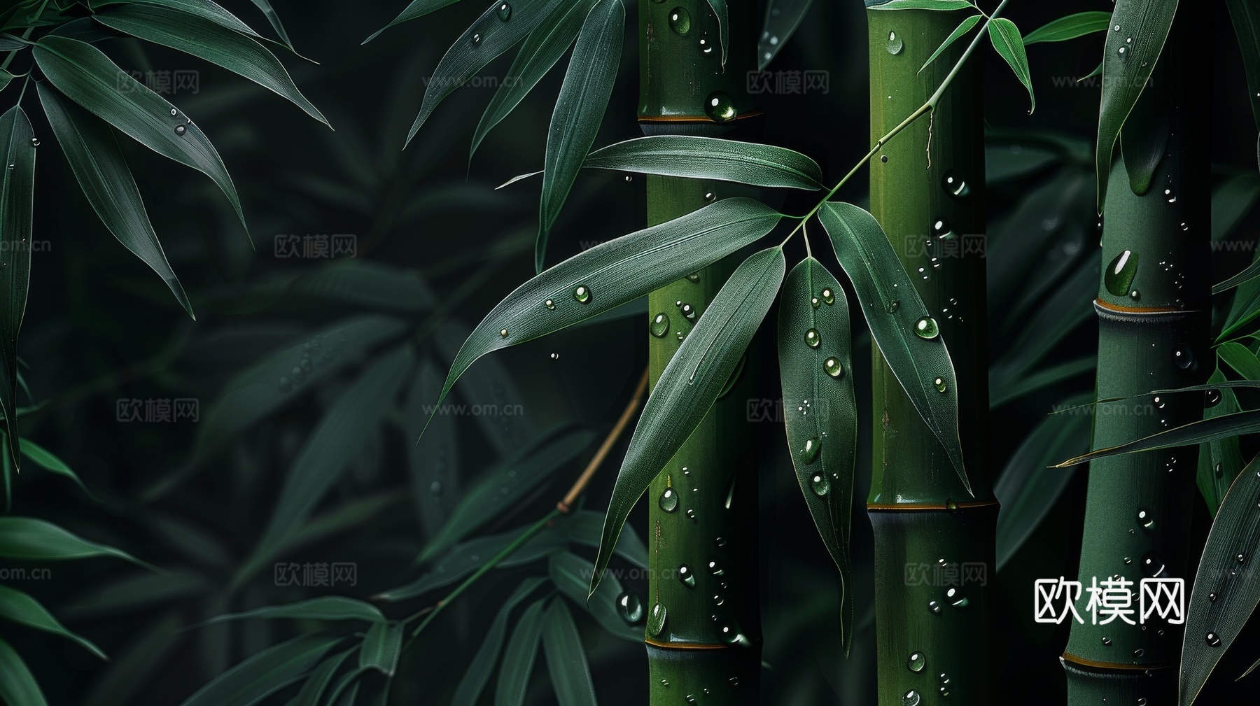 中式竹子竹林壁纸壁画