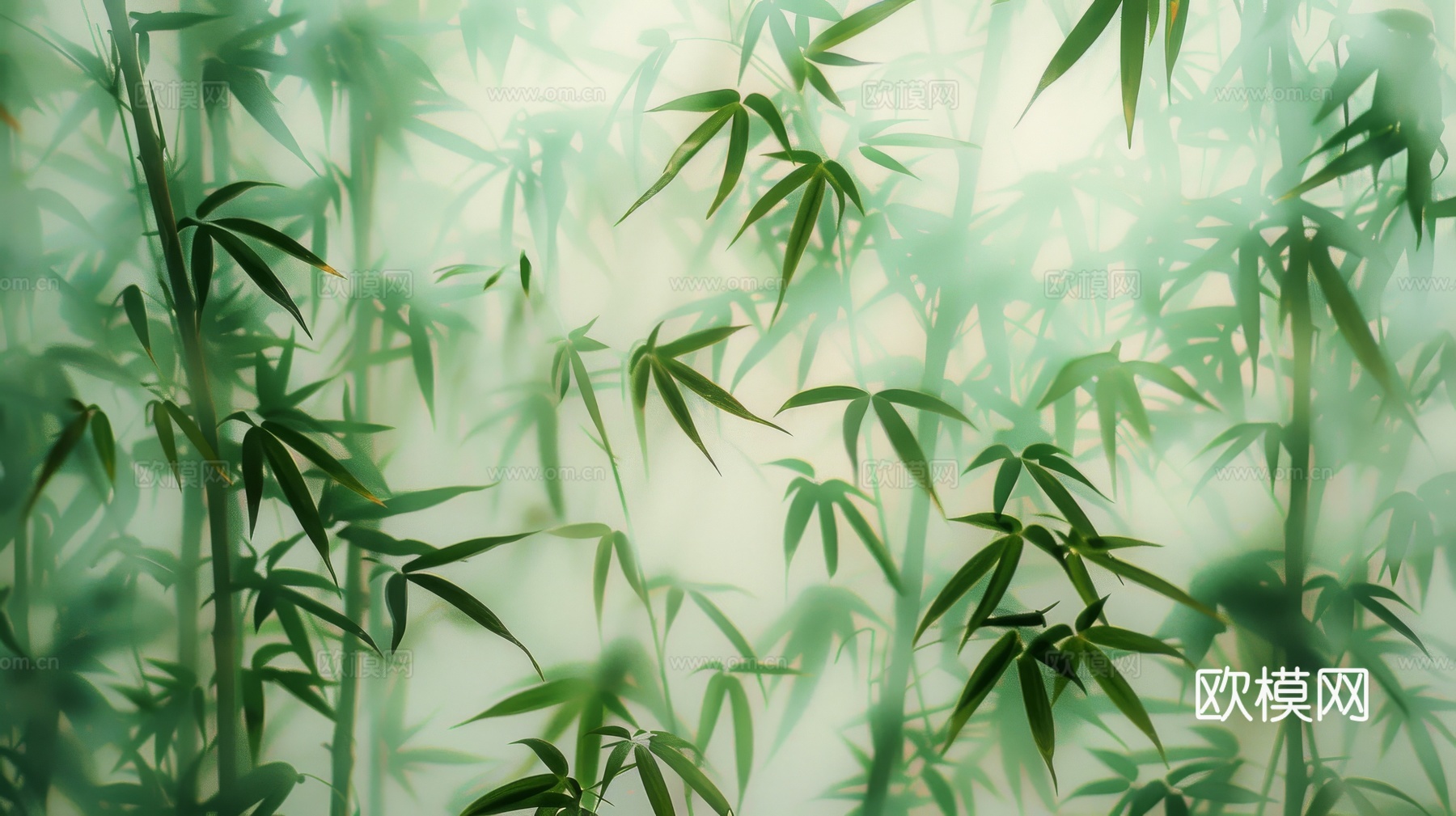 中式竹子竹林壁纸壁画