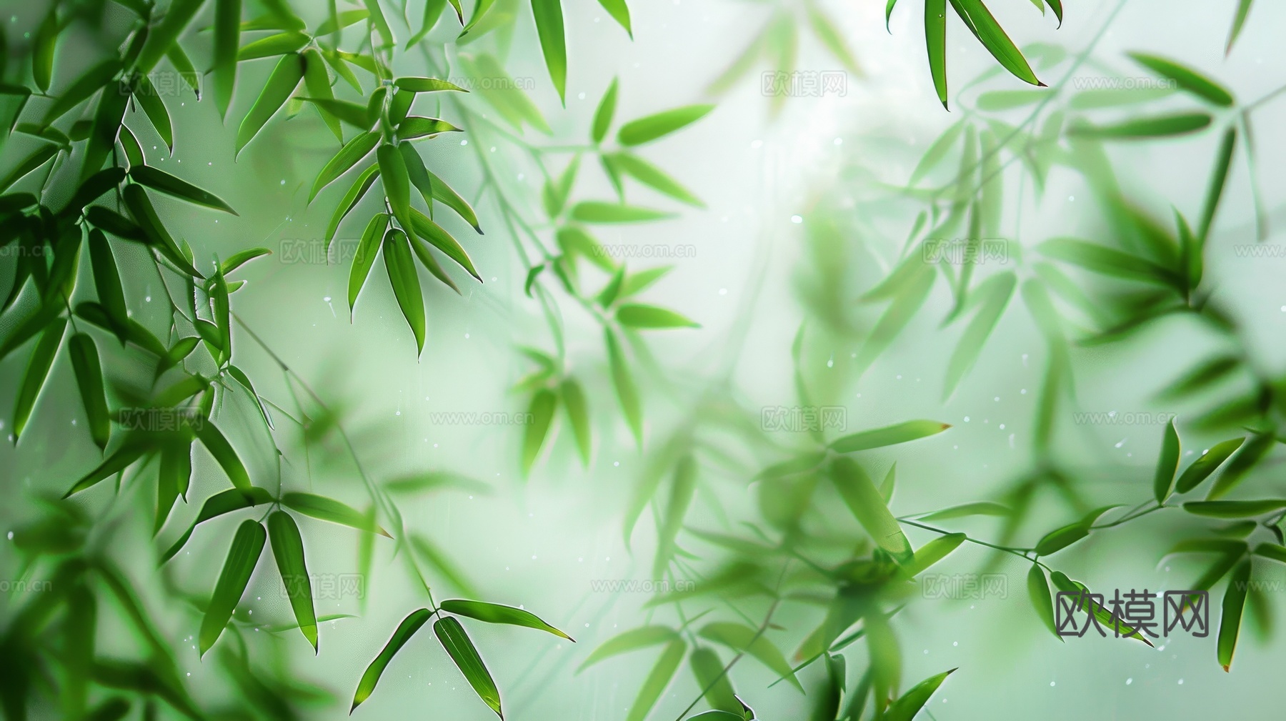 中式竹子竹林壁纸壁画