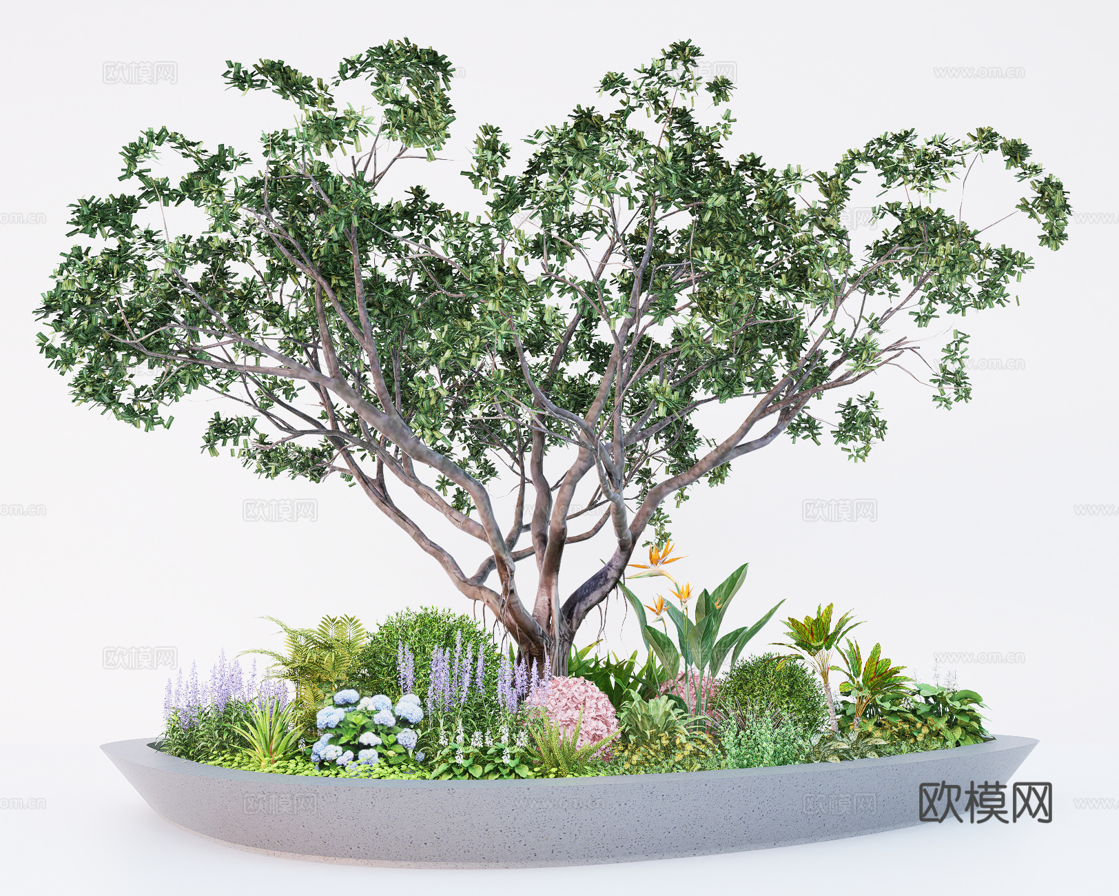 景观植物组合 花镜观赏草植物 花池绿化带植物搭配 网红花草绿su模型
