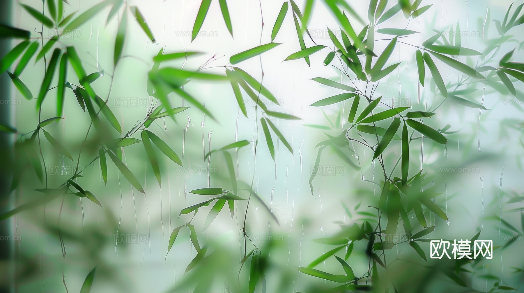 中式竹子竹林壁纸壁画