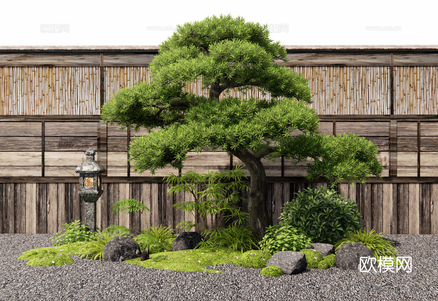 新中式植物组合 植物造景 庭院小品 罗汉松 松树 花草 苔藓3d模型