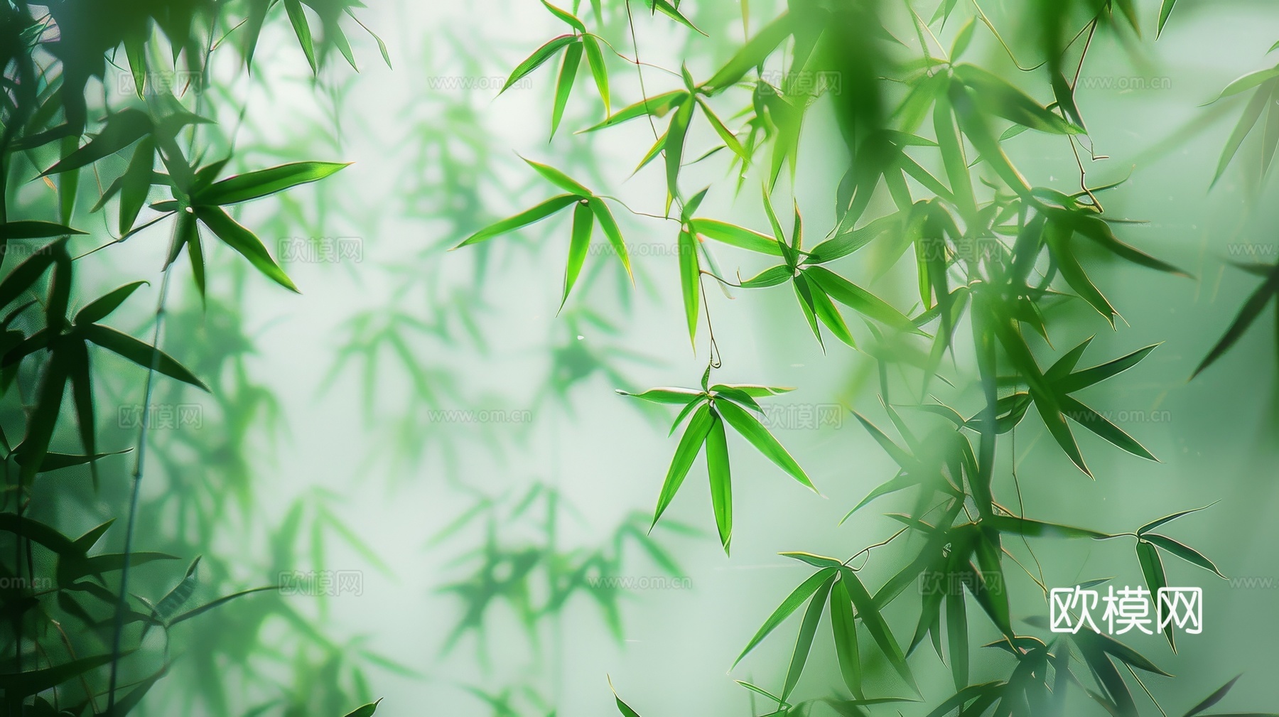 中式竹子竹林壁纸壁画