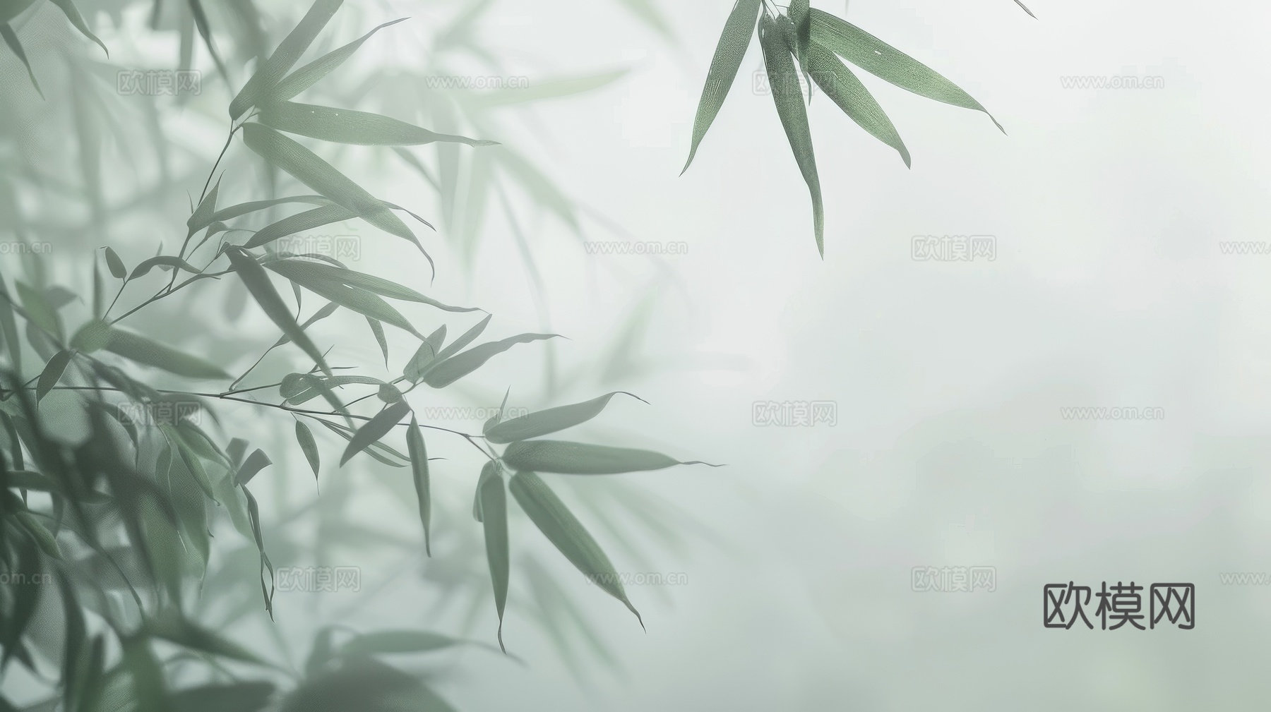 中式竹子竹林壁纸壁画