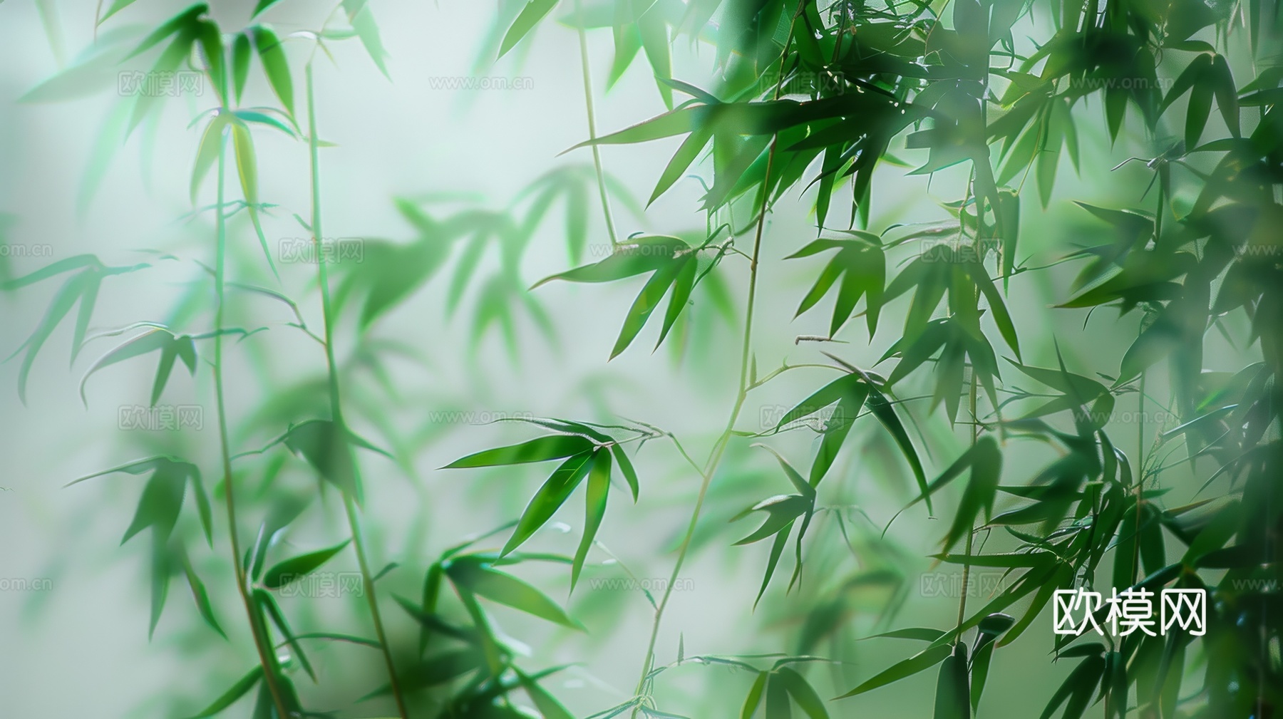 中式竹子竹林壁纸壁画