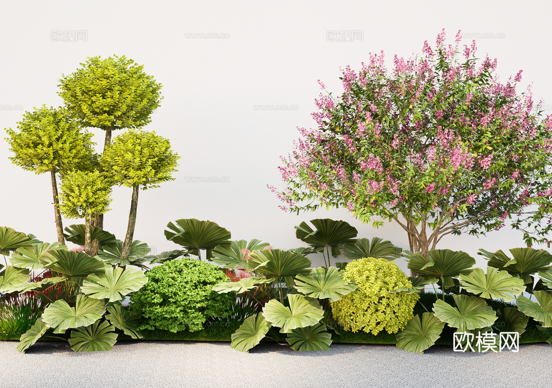现代植物组团 花境绿植组合 景观树 乔木灌木球su模型