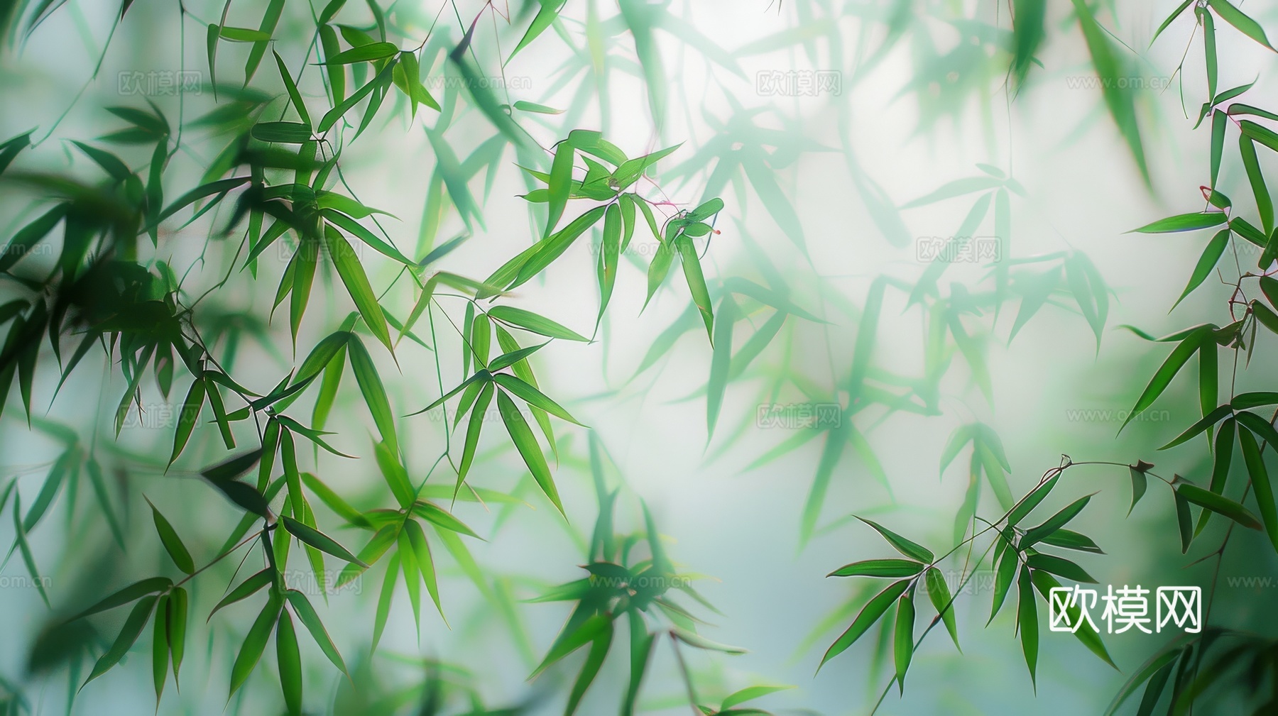 中式竹子竹林壁纸壁画