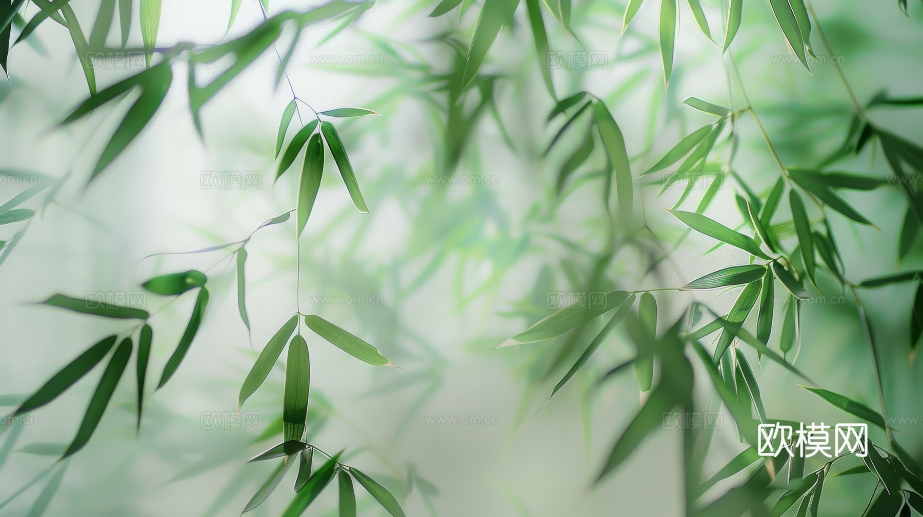 中式竹子竹林壁纸壁画