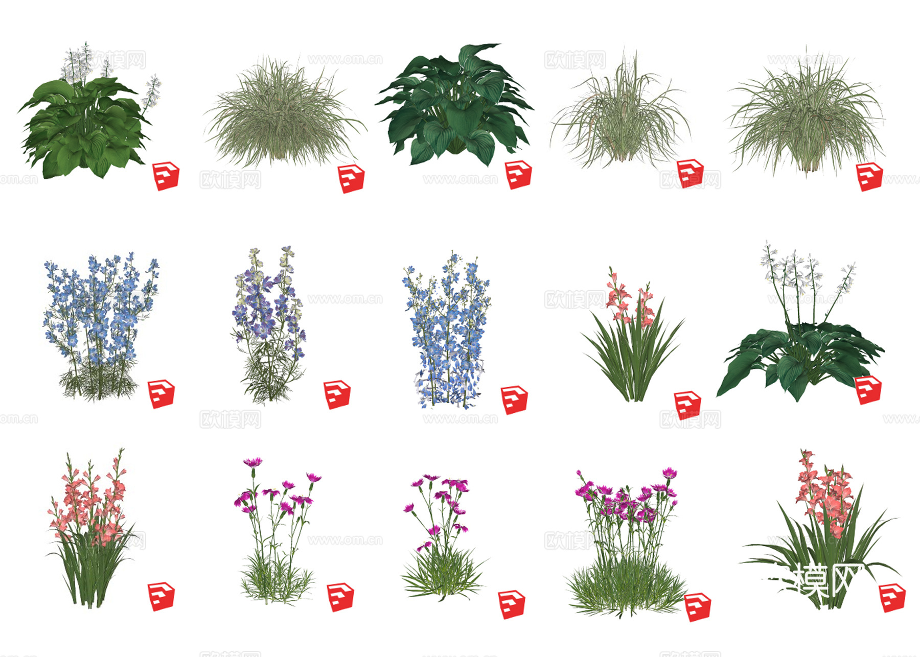 花草绿植 灌木 花丛su模型