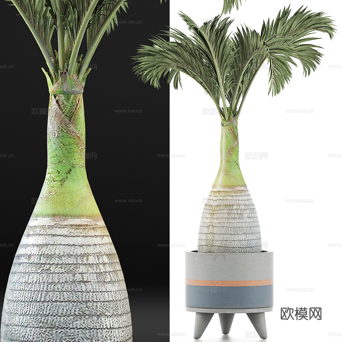 现代侘寂绿植盆栽3d模型